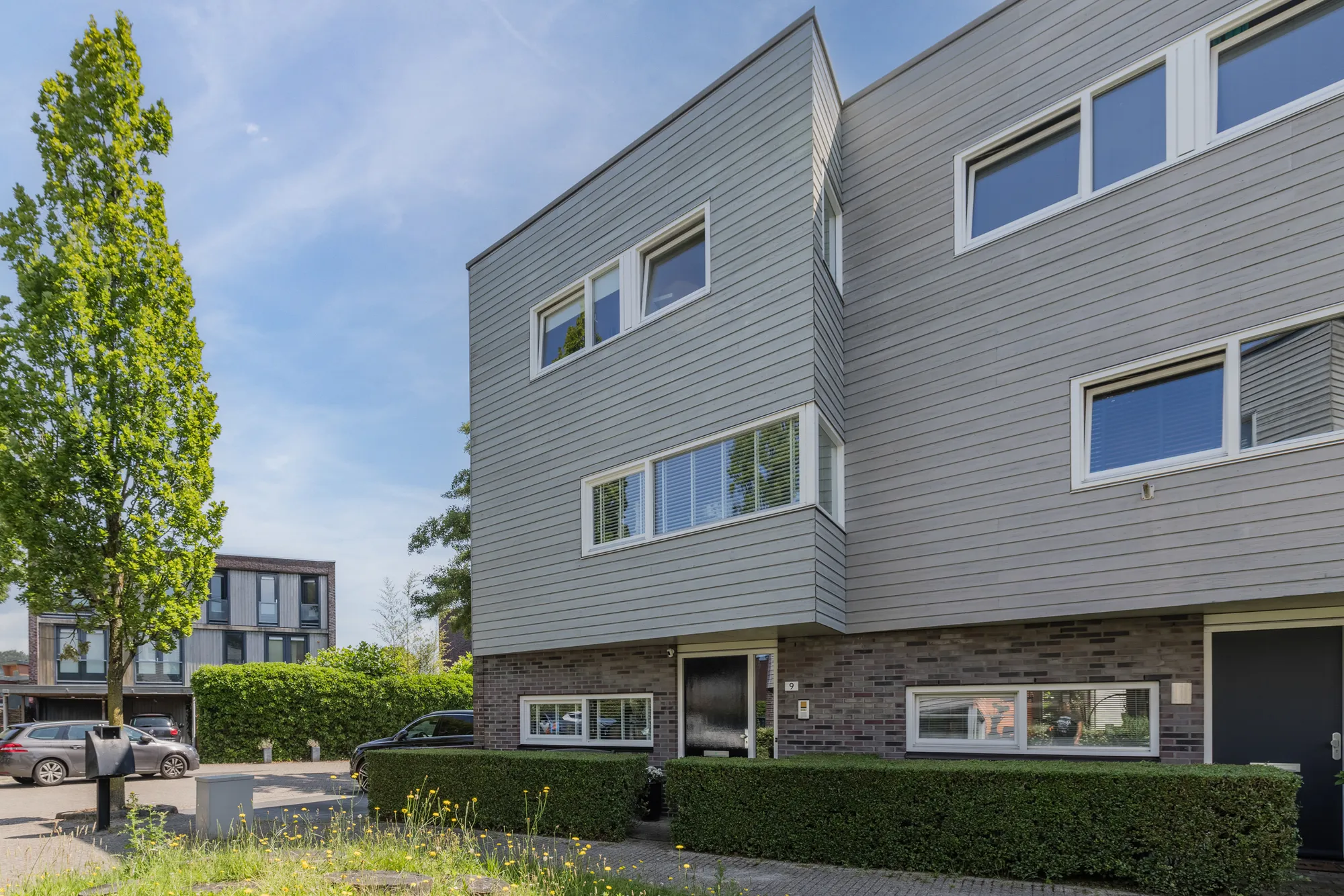 Ringslang 9 Ringslang 9